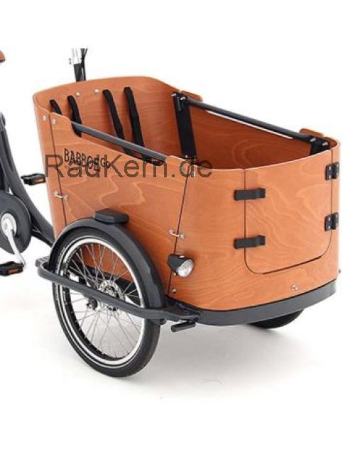 Babboe Go  technische daten 